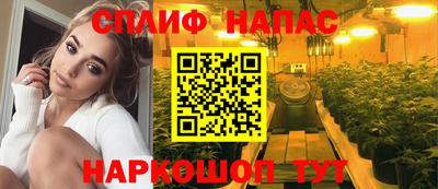 крисы Будённовск