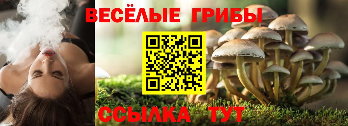 Галлюциногенные грибы MAGIC MUSHROOMS  Вход с VPN  Нягань  Галлюциногенные грибы GOLDEN TEACHER 